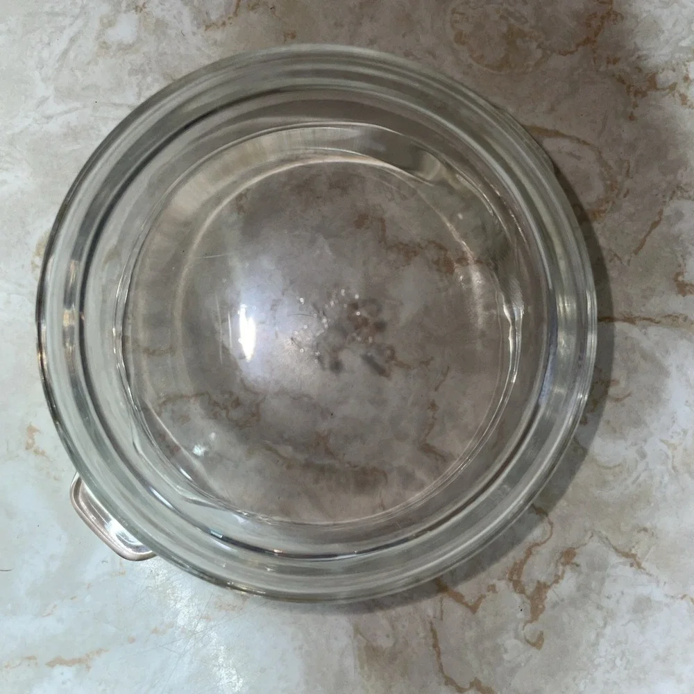 Glass croc pot 6